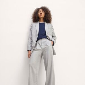 Everlane Women's Draper Pleated Pant in Buttersmooth in Heather, Size 14